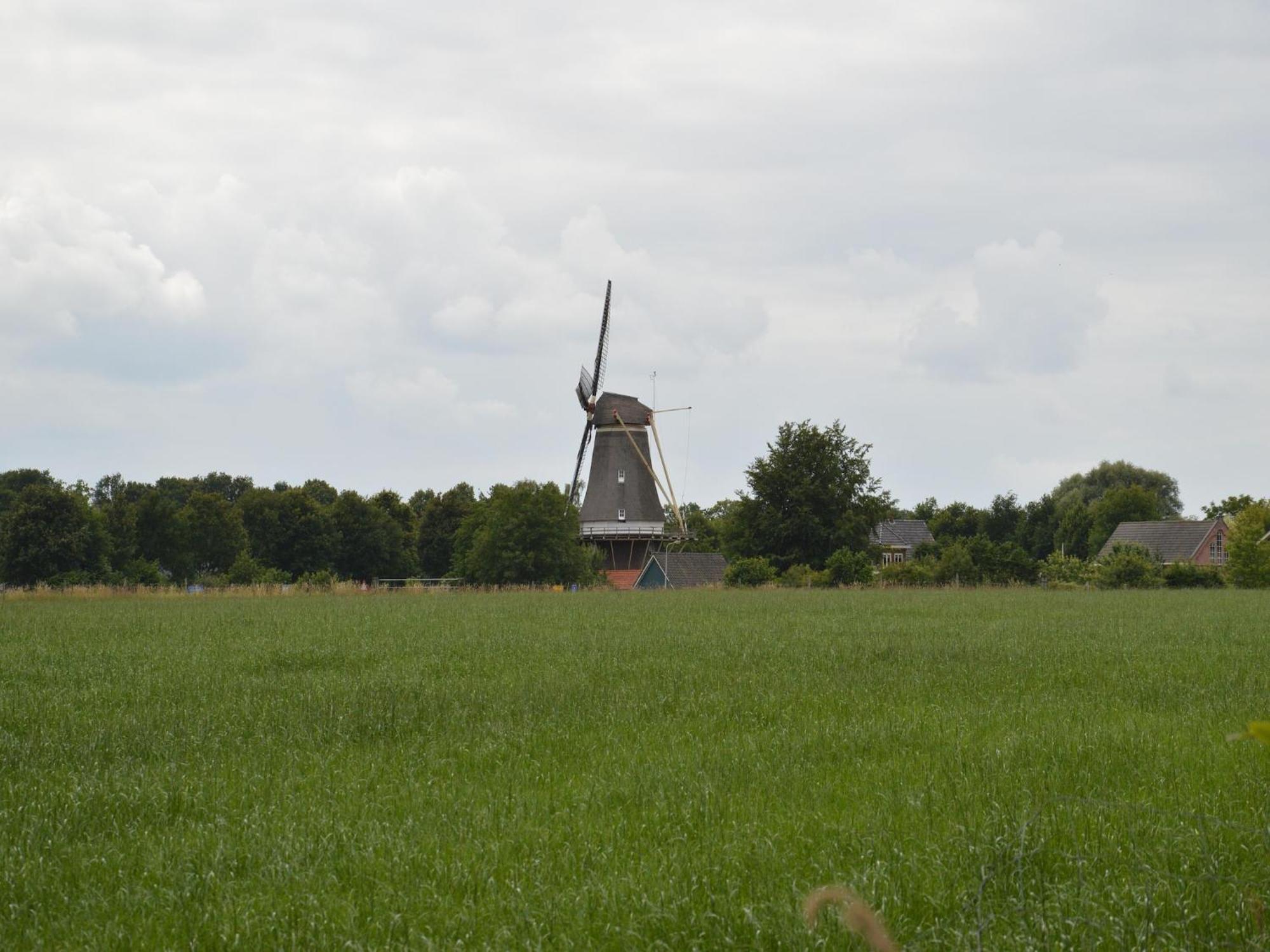 Quaint Farmhouse In Geesteren With Meadow View מראה חיצוני תמונה